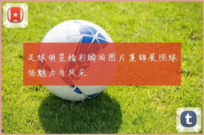 足球明星精彩瞬间图片集锦展现球场魅力与风采