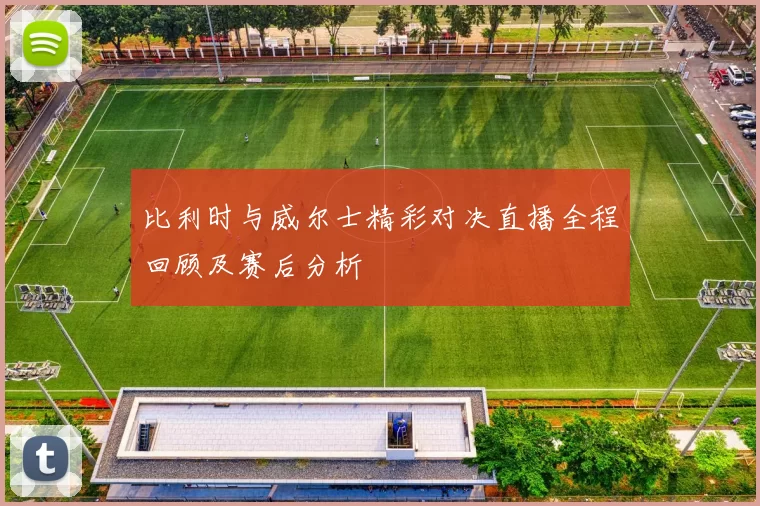比利时与威尔士精彩对决直播全程回顾及赛后分析