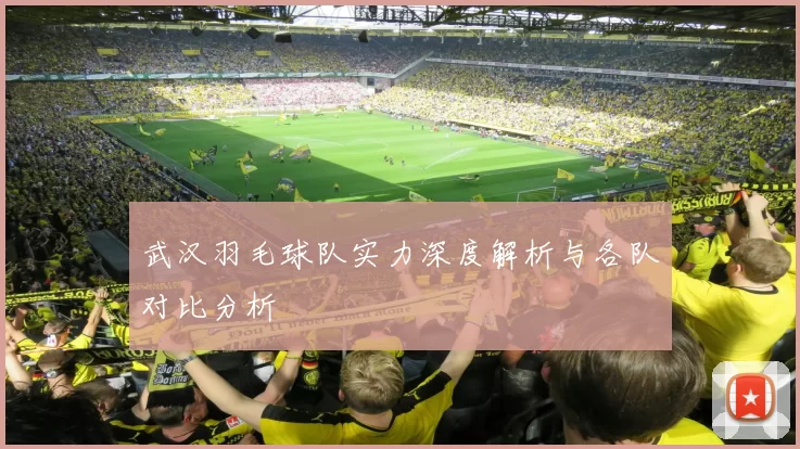 武汉羽毛球队实力深度解析与各队对比分析