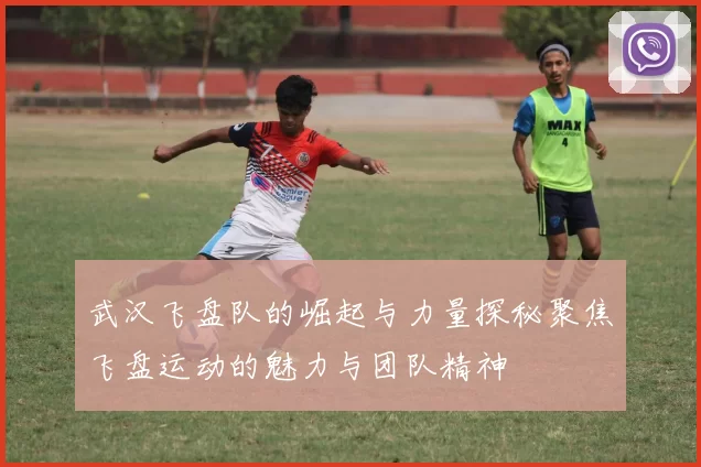 武汉飞盘队的崛起与力量探秘聚焦飞盘运动的魅力与团队精神