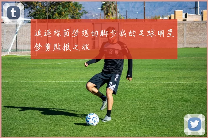 追逐绿茵梦想的脚步我的足球明星梦剪贴报之旅