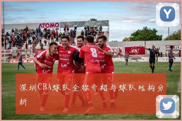 深圳CBA球队全称介绍与球队结构分析