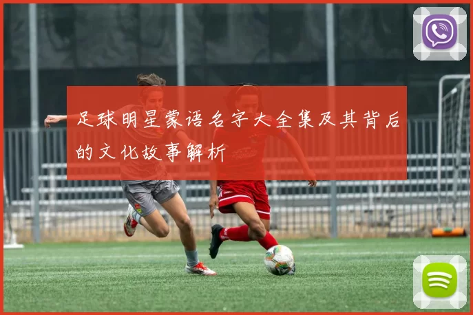 足球明星蒙语名字大全集及其背后的文化故事解析