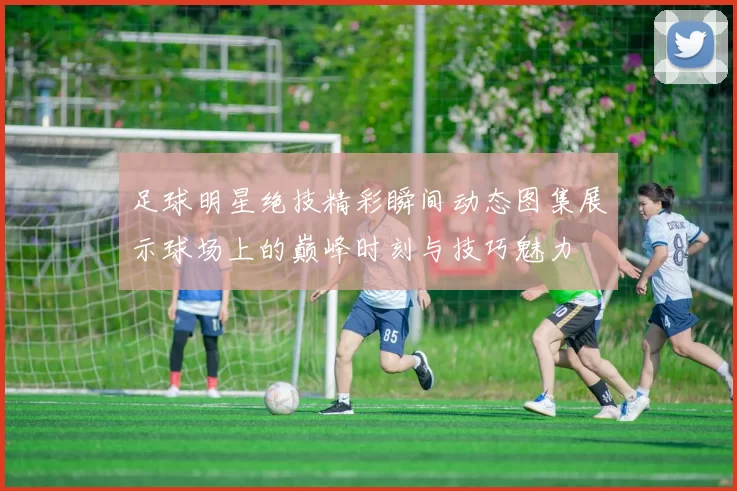 足球明星绝技精彩瞬间动态图集展示球场上的巅峰时刻与技巧魅力