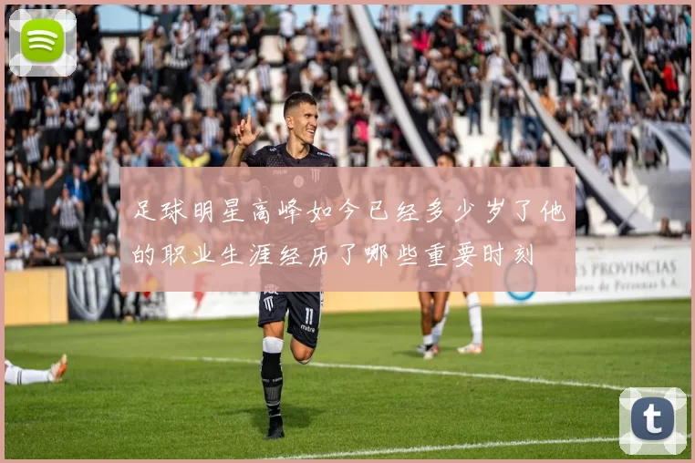 足球明星高峰如今已经多少岁了他的职业生涯经历了哪些重要时刻