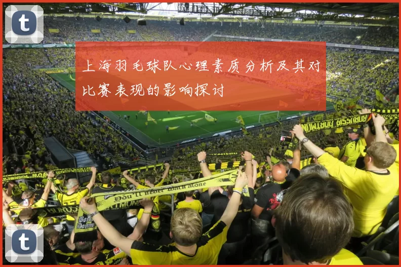 上海羽毛球队心理素质分析及其对比赛表现的影响探讨