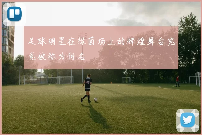 足球明星在绿茵场上的辉煌舞台究竟被称为何名