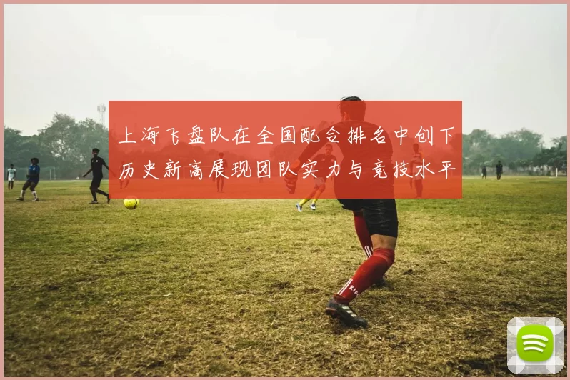 上海飞盘队在全国配合排名中创下历史新高展现团队实力与竞技水平