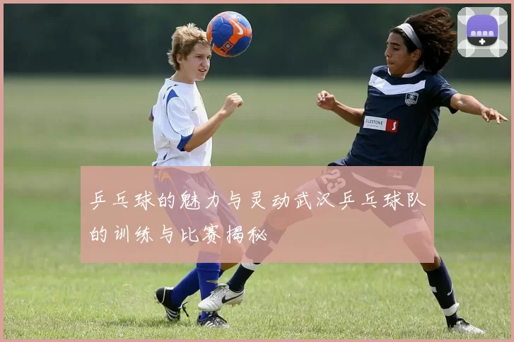 乒乓球的魅力与灵动武汉乒乓球队的训练与比赛揭秘