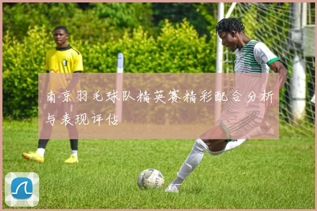 南京羽毛球队精英赛精彩配合分析与表现评估