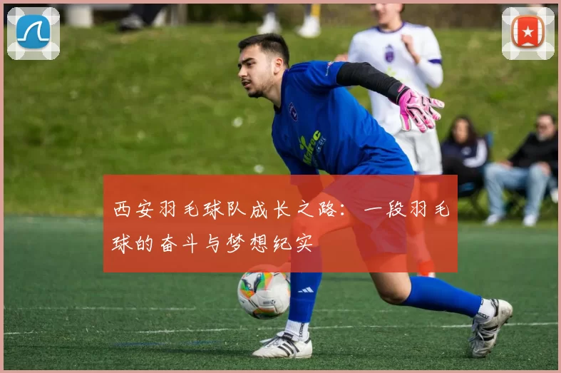 西安羽毛球队成长之路：一段羽毛球的奋斗与梦想纪实