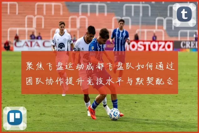 聚焦飞盘运动成都飞盘队如何通过团队协作提升竞技水平与默契配合
