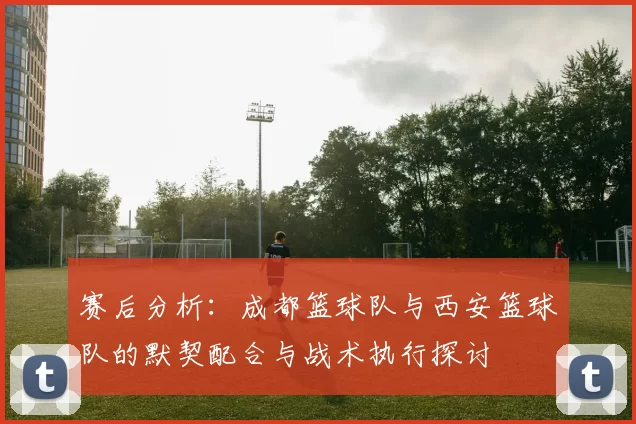 赛后分析：成都篮球队与西安篮球队的默契配合与战术执行探讨