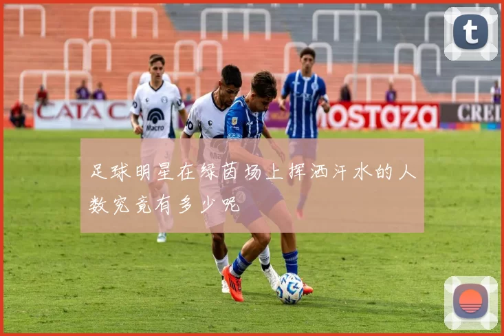 足球明星在绿茵场上挥洒汗水的人数究竟有多少呢