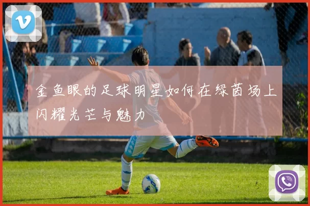 金鱼眼的足球明星如何在绿茵场上闪耀光芒与魅力