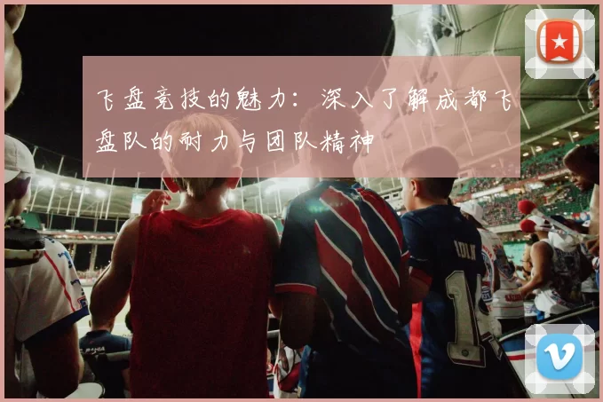 飞盘竞技的魅力：深入了解成都飞盘队的耐力与团队精神