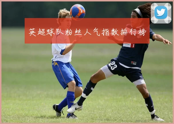 英超球队粉丝人气指数排行榜