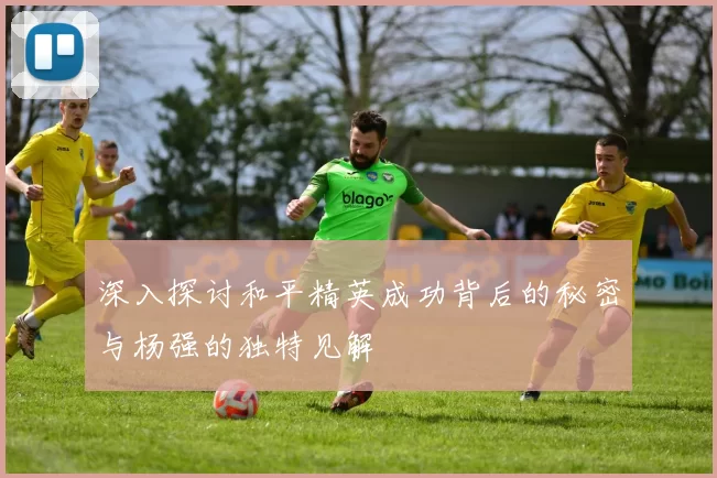 深入探讨和平精英成功背后的秘密与杨强的独特见解