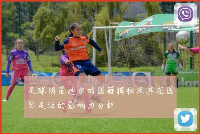 足球明星迪尔的国籍揭秘及其在国际足坛的影响力分析