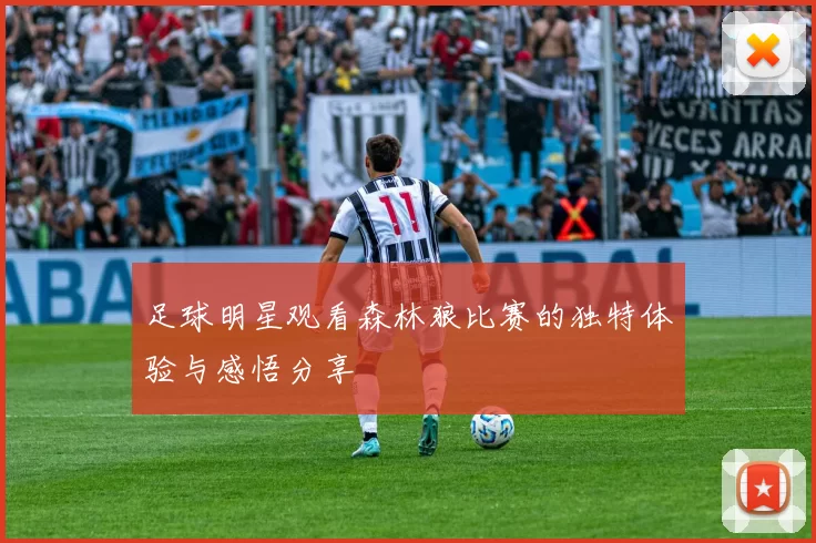 足球明星观看森林狼比赛的独特体验与感悟分享