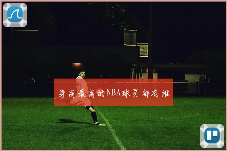 身高最高的NBA球员都有谁