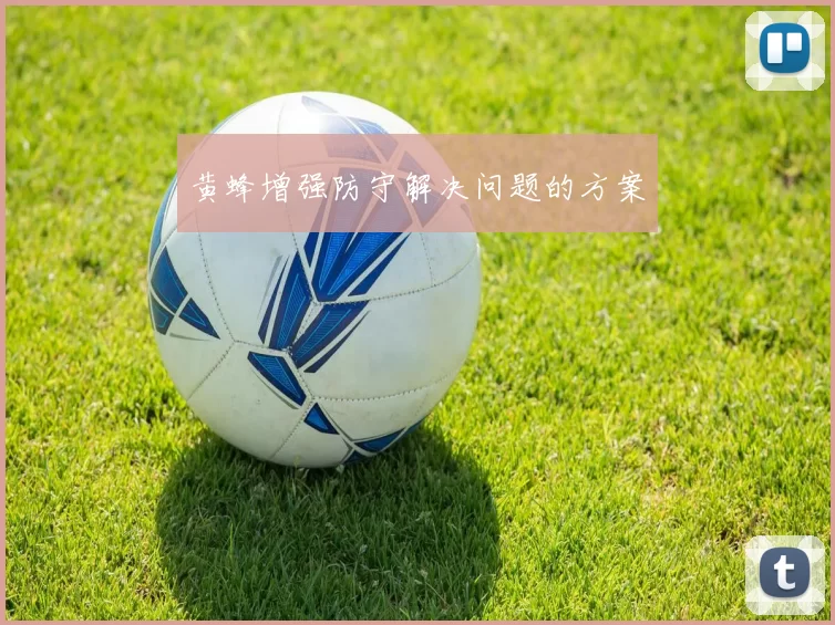 黄蜂增强防守解决问题的方案
