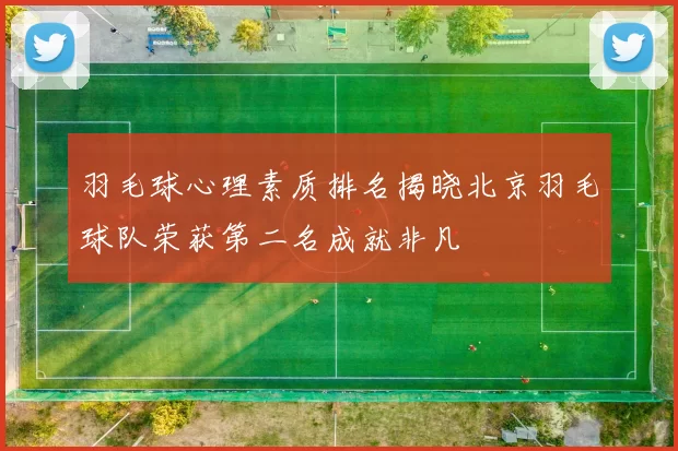 羽毛球心理素质排名揭晓北京羽毛球队荣获第二名成就非凡