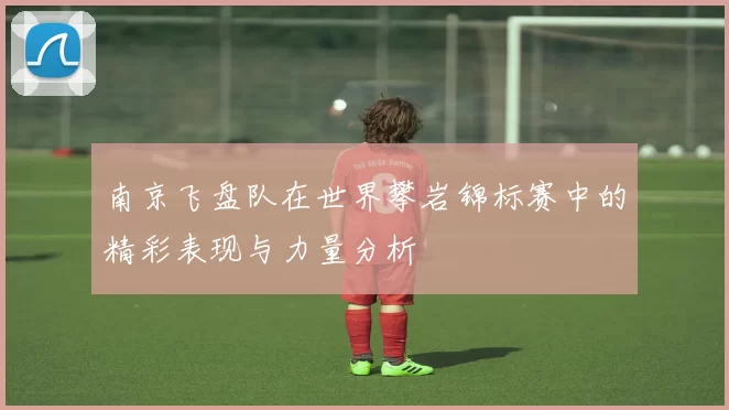 南京飞盘队在世界攀岩锦标赛中的精彩表现与力量分析
