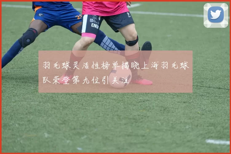 羽毛球灵活性榜单揭晓上海羽毛球队荣登第九位引关注