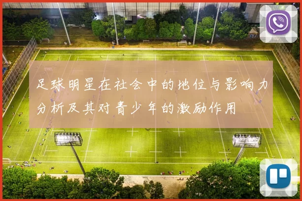 足球明星在社会中的地位与影响力分析及其对青少年的激励作用