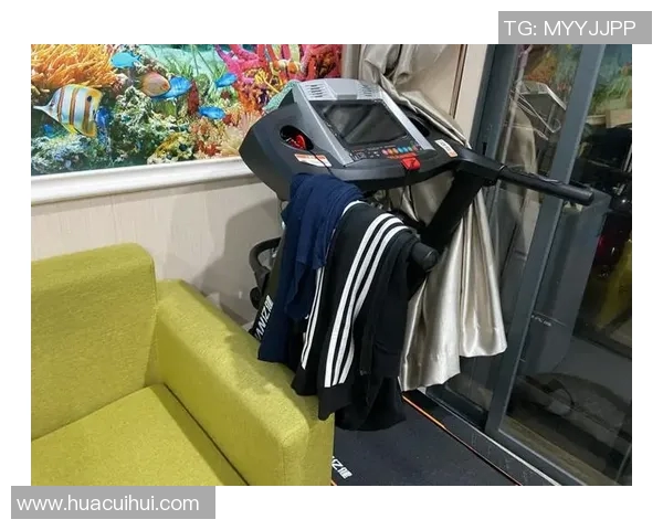 随缘机健身器材风靡健身房 是潮流噱头还是实用神器